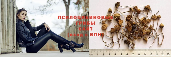 круглые Алексеевка