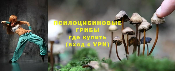круглые Алексеевка