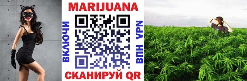 Каннабис гибрид  Сураж 